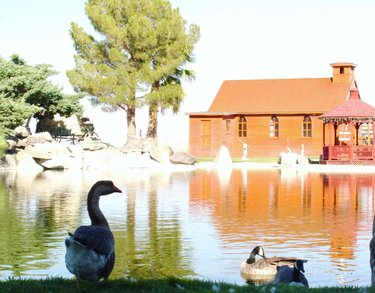 A beautiful day in Amargosa Valley at longstreet.inn.casino 
.
.
.
.
.
.
#longstreet #longstreetinnandcasino #nyecounty #nevada #desert #ducks #chapel #rving #homemeansnevada #beyondvegas #amargosa #amargosavalley nyecounty cruiseamericarv #betherenow