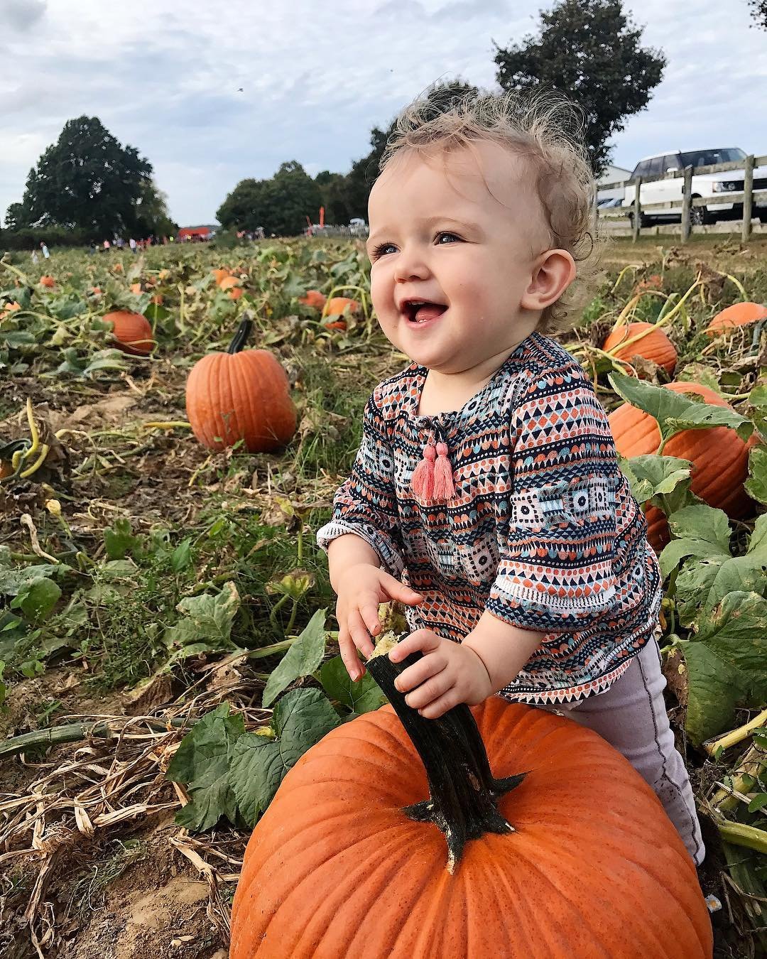 that feeling when you find the perfect pumpkin 🎃
