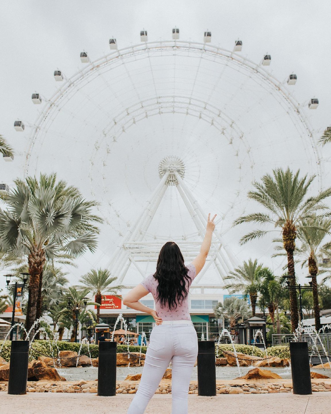 A woman stands with her back to the camera, raising a peace sign in front of a large Ferris wheel surrounded by palm trees.