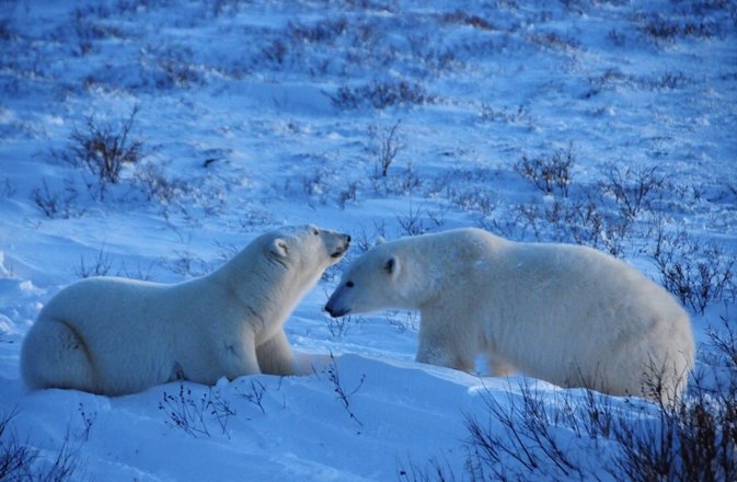 tourhub | Wildlife Tours Crowdriff Gallery