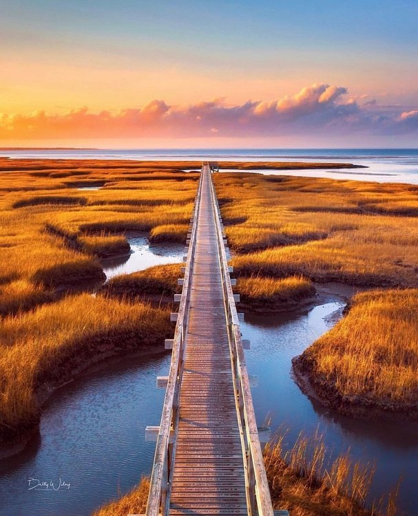 Fall On Cape Cod | Second Summer | Things to Do on Cape Cod in The