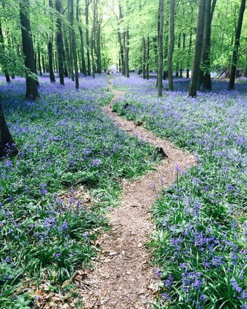 tourhub | Flowers & Gardens Tours Crowdriff Gallery