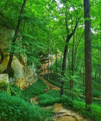 Wildcat Den State Park photo 4