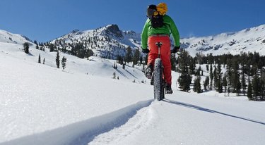 Social media post by TahoeSouth
