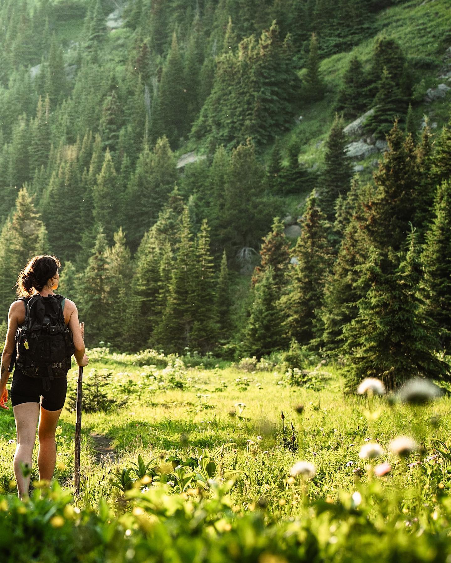 photo by Court caption reads: She’s a wildflower. ⛰️ 🌺 

\\Tumbler Ridge Photo Tour 2023//

sheswildandwell
#sheswildandwell 

#tumblerridge #tumblerridgegeo #visittumblerridge #britishcolumbia #canada #cangeo #canadiangeoparks #natgeo #unescoglobalgeopark #wheredinosaursroamed #hellobc #hikebc #northseasphotography #tumblerrridgephototour2023