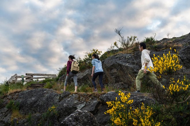 MAT6494 A Young with the Restless family hikes PKOLS  Mount Douglas Park.jpg