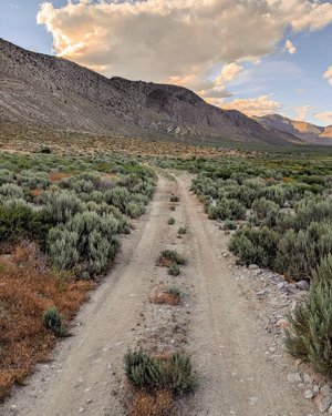 My favorite roads are dirt roads.

And Nevada has some pretty great ones ✨

travelnevada #TravelNevada #HowToTravelNevada #BurnerByway #NVRoadTrip #teampixel