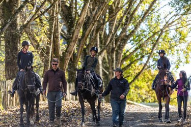 Four individuals walk along a tree-lined path, two on horseback and two leading the horses. Sunlight filters through the leaves.
