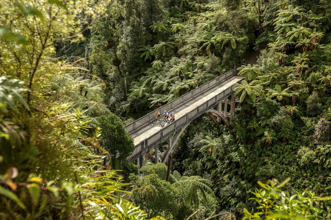 A wooden bridge spans a lush, green forest, with two cyclists riding across. Dense foliage surrounds the scene, creating a serene atmosphere.