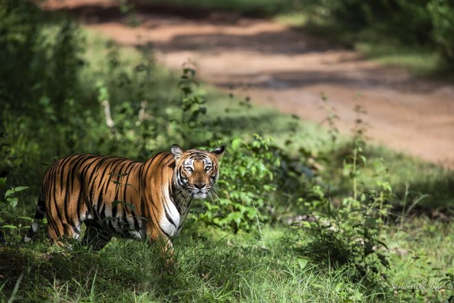 tourhub | Wildlife Tours Crowdriff Gallery