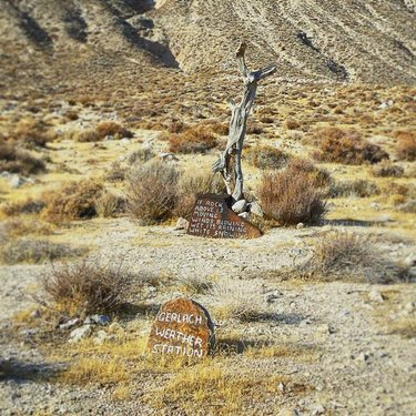 ✨Pretty much sums up Gerlach✨ #gerlachnevada #homemeansnevada #gerlach #nevada #nowherenevada #weirdnevada #nevadadessert