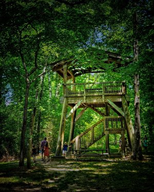 Chattahoochee Bend State Park Department Of Natural Resources Division