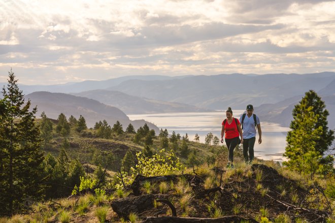 Two hikers traverse a scenic mountain trail, surrounded by lush greenery and distant hills, with a shimmering lake below. Soft clouds drift across the sky.