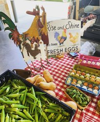 A vibrant market scene featuring fresh vegetables, including okra and squash, alongside a sign for free-range eggs. A colorful rooster decoration adds charm.