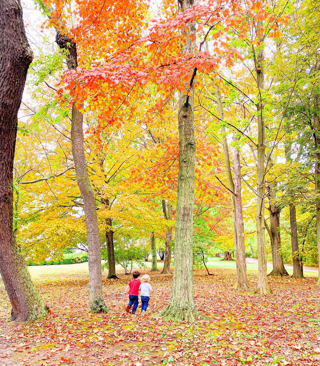 As the leaves are changing 🍂
So too are they
Neither of them in diapers
Neither of them technically a baby

And though change is beautiful 
And necessary
And happens all the time
For this mama
To accept that, takes a little while

Because as the leaves are changing
So too am I 
From a mama of babies
To little boys
Who will grow bigger and older
In what, I’m sure, will feel like the blink of an eye
💛

On the blog, I’m sharing our recent hike ft. beautiful changing foliage!