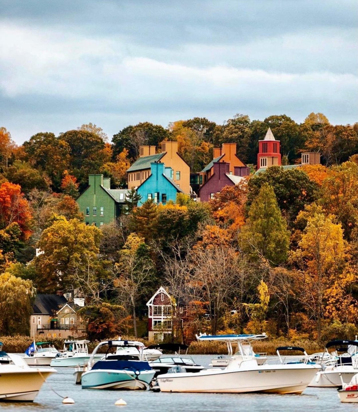 “Autumn shows us how beautiful it is to let things go.” #mondaymotivation #fallfoliage #luckytolivehere
📷 erica_mengouchian