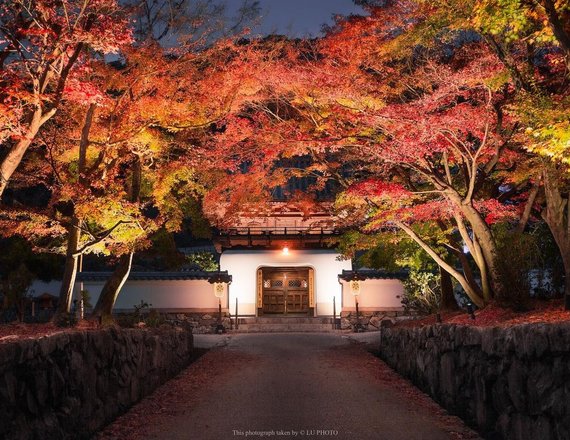 tourhub | Japanese Autumn Colours Crowdriff Gallery