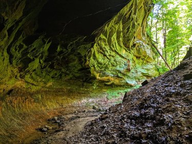 Wildcat Den State Park photo 2
