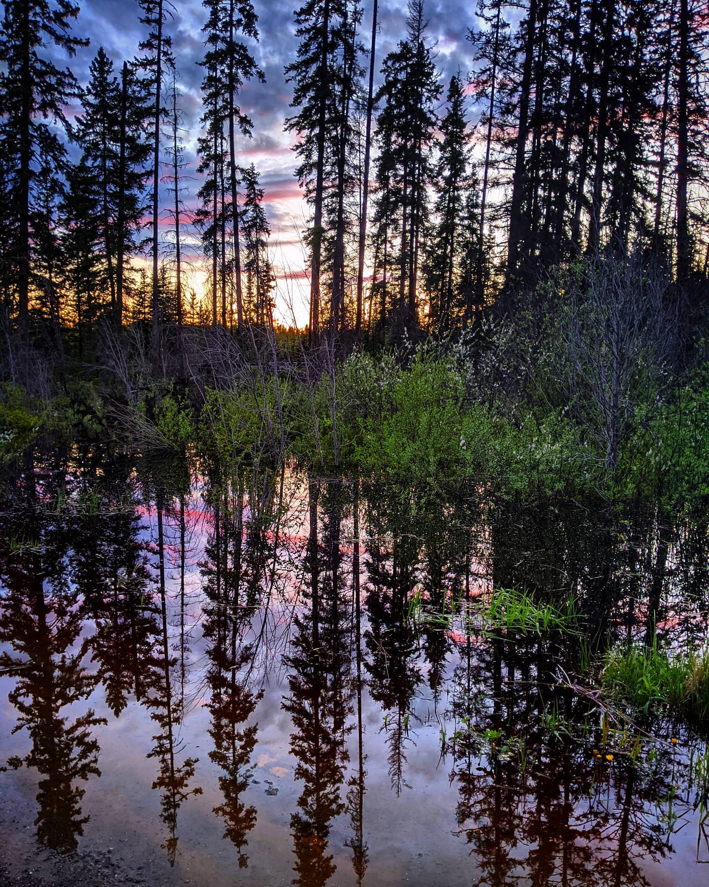 photo by thecarpenters_photography caption reads: If you flip this photo upside down it looks nearly the exact same. How brilliant. 🙃✨🤓👍 #hellyeahprincegeorge #hellospring #hypg #sunshine #sunsets #sunsetlovers #lovecanada #enjoynature #enjoybc #takeonpg #lovewhereyoulive #northerncanada #northernbc #springisnear  #skyporn #gooutside #googlephone #pixelphotography #likeforlike #followforfollow #naturephotography #naturelovers #beautifulbc #britishcolumbia #riverdays #photooftheday #smartphonephotography #lovecanada #photooftheday #pnw #pnwonderland #phonephotography