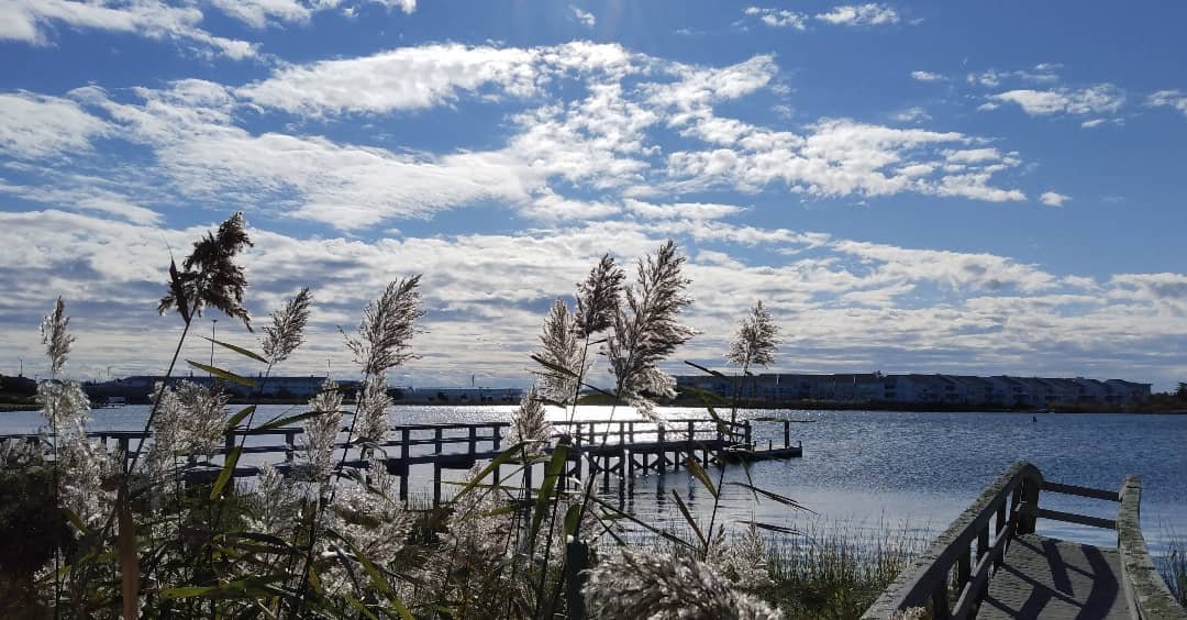 View from work today off Dune Rd. #longisland #hamptons #southshore#duneroad #photography #beachbum #beachphotography #skyphotography #cloudscape #clouds #skyporn #officeview #beach #tgif #nature #naturesbeauty #naturelovers