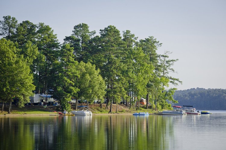 Elijah Clark State Park | Department Of Natural Resources Division