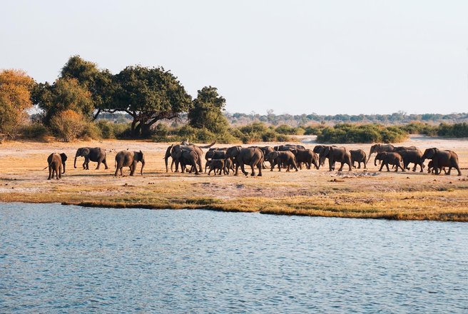 tourhub | Expedition & Adventure Cruises Crowdriff Gallery