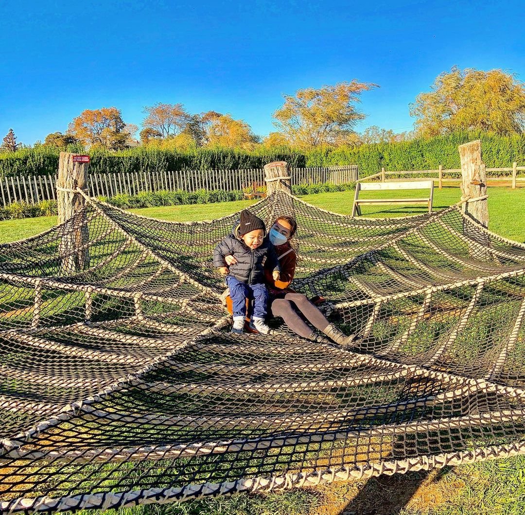 Found a Little Spider man in the farm
.
.
.
.
#spiderweb #climbers 
.
.
.
#farm #spiderman #littlebabyboy #fallfun #fun #kidsofinstagram #kidsactivities #happy #climbing #spiderwebfarms #havefun #weekend #nycfarm #nyclife #familytime #momofboys #mommylife #mommyandson #instafamily #instafarm #babyboy #babystargram @harbesfarm