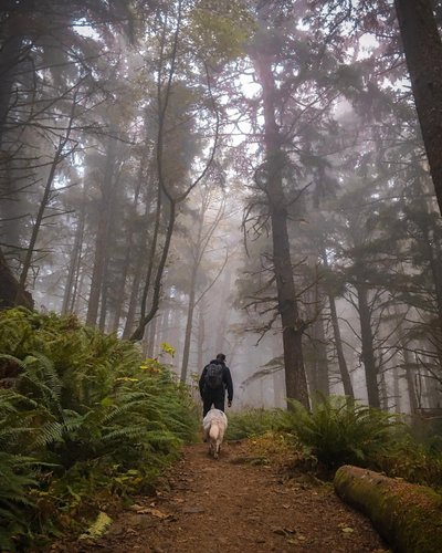 Ecola state park hiking trails best sale