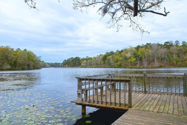 Kolomoki Mounds State Park | Department Of Natural Resources Division
