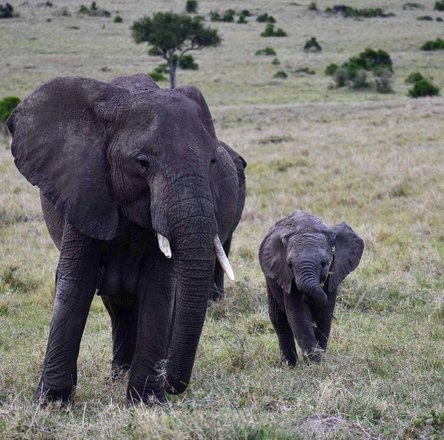 tourhub | Safari Tours Crowdriff Gallery