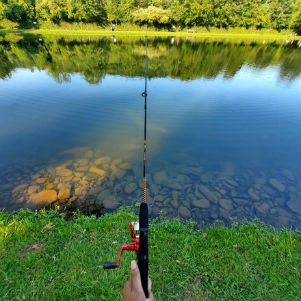 are old fishing reels worth money Old fishing reels are reeling in big interest