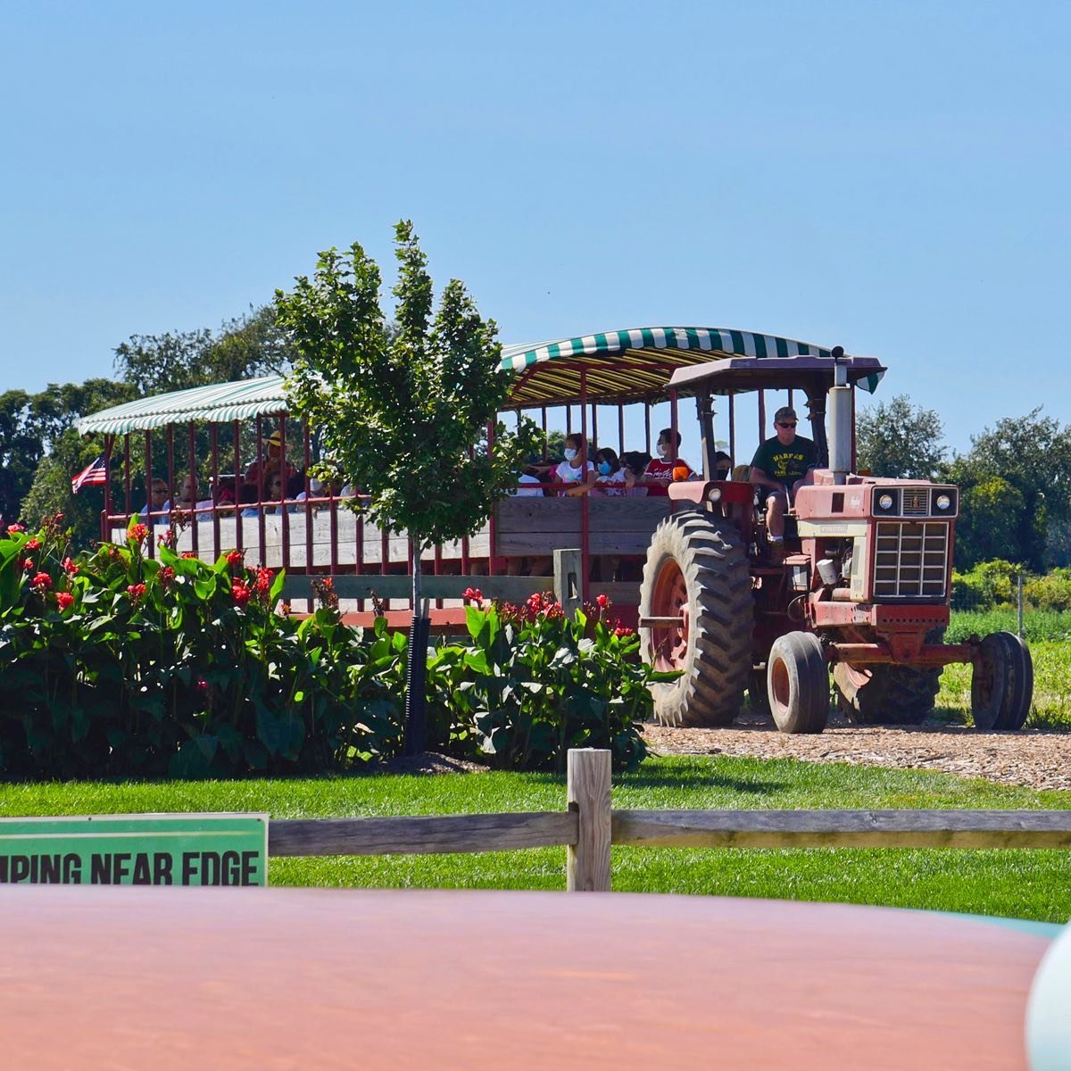 Our Musical Hayride tour is one of the most popular attractions in our Barnyard Adventure! Sit back and take in the views of our 100-acre farm. 🚜Open 10-6.
.
.
.
#harbesfarm #northfork #hayride #longislandkids #longislandsummer #familyfun