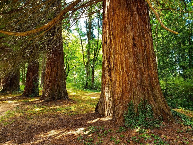 Champoeg State Heritage Area - Oregon State Parks