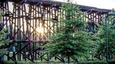 Wooden trestle bridge framed by lush greenery, with sunlight filtering through the structure, creating a serene atmosphere.