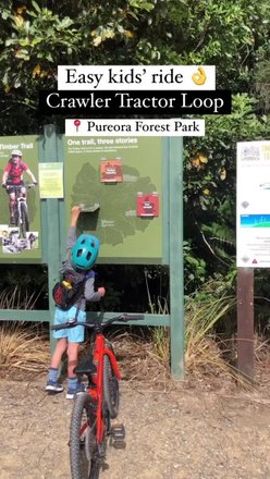 Photo by outdoorkidnz, caption reads: Super easy bike ride when you don’t want to tackle the entire 82km Timber Trail 😀

We parked at the main car park on the northern edge of the forest off SH30 between Te Kuiti and Mangakino. Plenty of parking and toilets. 

Allow about 30 minutes each way to the tractor - slow and easy pace, reading the signs and pottering along. Stunning bush! 

The two ton Caterpillar tractor was used in the 1930s-40s to recover split tōtara posts and battens from the bush. 

The entrance to the ride is also near the Tōtara Walk. Huge trees!! And at night becomes a glowworm hunt 😀 It’s walking only on the 20-30 min loop. Well worth it while visiting. 

📍 Historic Crawler Tractor
🚗 Parking on Barryville Road, Pureora Forest Park
🐶 No dogs

#pureora #pureoraforest #timbertrail #timbertrailnz #tractornz lovetauponz visitruapehu timbertraillodgenz timbertrailnz timbertrailshuttles