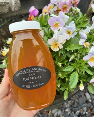 A hand holds a jar of pure honey labeled "Spackman Lane Apiary" in front of vibrant pansy flowers, showcasing local produce and nature.