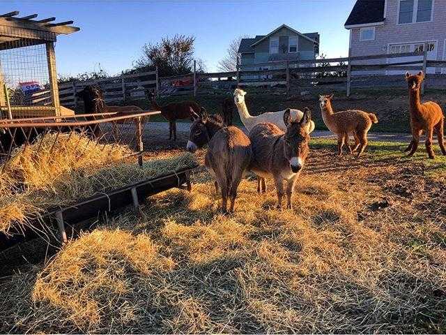 Things To Do in Block Island, RI | Beaches, Shopping & Dining