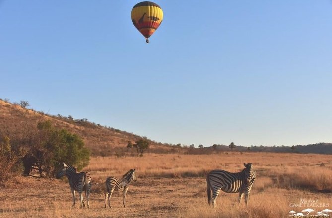 tourhub | Luxury Safari Tours Crowdriff Gallery