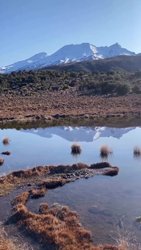 Photo by visitruapehu, caption reads: The raw, the real, the unfiltered beauty and one-of-a-kind experiences in Ruapehu are made for the curious, the bold and the brave. Where adventure isn’t just about adrenaline but something different, connective, and a side of you you’ve never known before 🌿✨ 
📍| Ohakune Mountain Road - Mangaehuehu Hut - Blyth Hut 

📸 kels_martin__

#UnrealLandscapesRealMoments #RuapehuNz #OurGreaterOutdoors #IfYouSeek