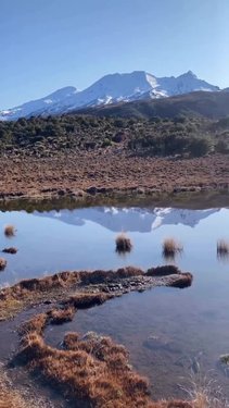 Photo by visitruapehu, caption reads: The raw, the real, the unfiltered beauty and one-of-a-kind experiences in Ruapehu are made for the curious, the bold and the brave. Where adventure isn’t just about adrenaline but something different, connective, and a side of you you’ve never known before 🌿✨ 
📍| Ohakune Mountain Road - Mangaehuehu Hut - Blyth Hut 

📸 kels_martin__

#UnrealLandscapesRealMoments #RuapehuNz #OurGreaterOutdoors #IfYouSeek