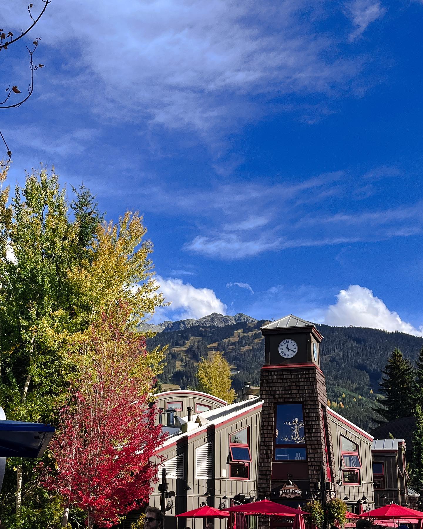 photo by Aliya🌼🌼영연 caption reads: 秋天的加拿大🍁
浪漫的小鎮💕
還有必吃的 #cowsicecream 

#vancouver #canada #whistler #trip #icecream