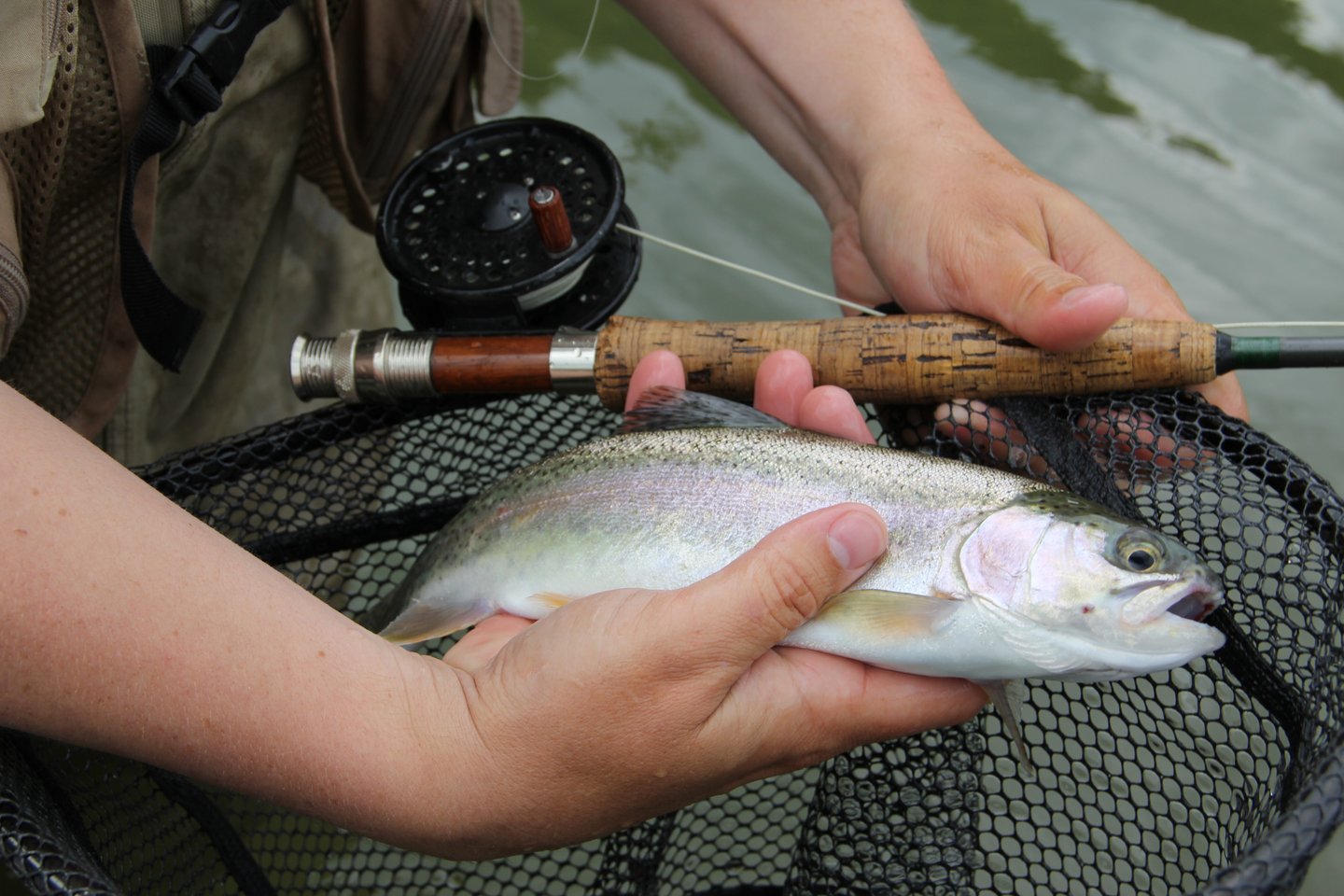penn battle spinning reel specs Battle® IV With the Superline Spool Alomejor Fishing Rod Fighting Color:SPAWN CHERRY GAP