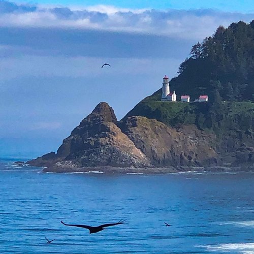 Heceta hotsell Head Lighthouse