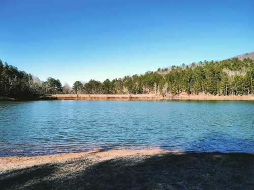 A serene lake surrounded by lush green trees under a clear blue sky, with a sandy shore in the foreground. Ideal for relaxation and nature exploration.