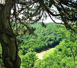 Yellow River State Forest - Paint Creek Unit