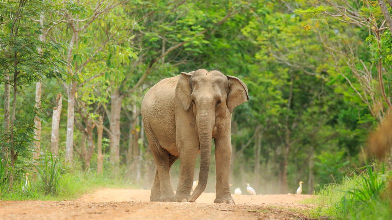 tourhub | Wildlife Tours Crowdriff Gallery