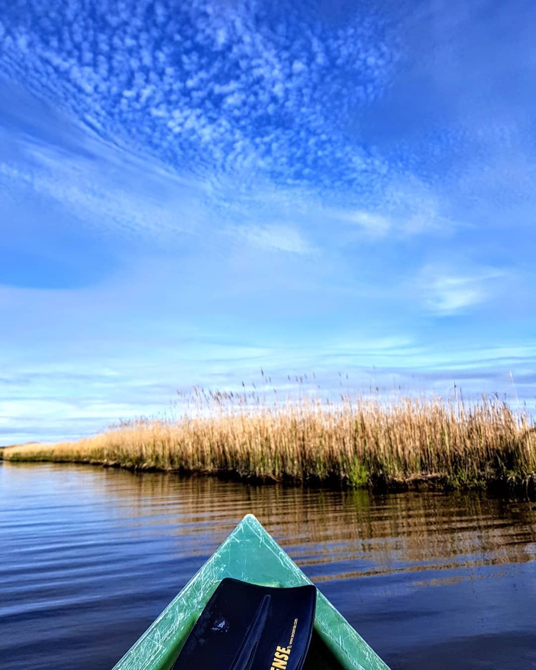 Finally summer. .
.
.
.
.
#landscapephotographydaily #longislandfeatures #longislandbeaches #longislandny #longislandliving #lipulse #longisland #longislandlife #iloveny #water #canoe #canoeing #canoeingkayak #getoutside #getout  #theworldguru #explore #neverstopexploring #thediscoverer #artofdestinations #bbctravel #earthcapture #ourdailyplanet #nakedplanet #ourplanetdaily #summertime #shotz #gurushots #shotguru