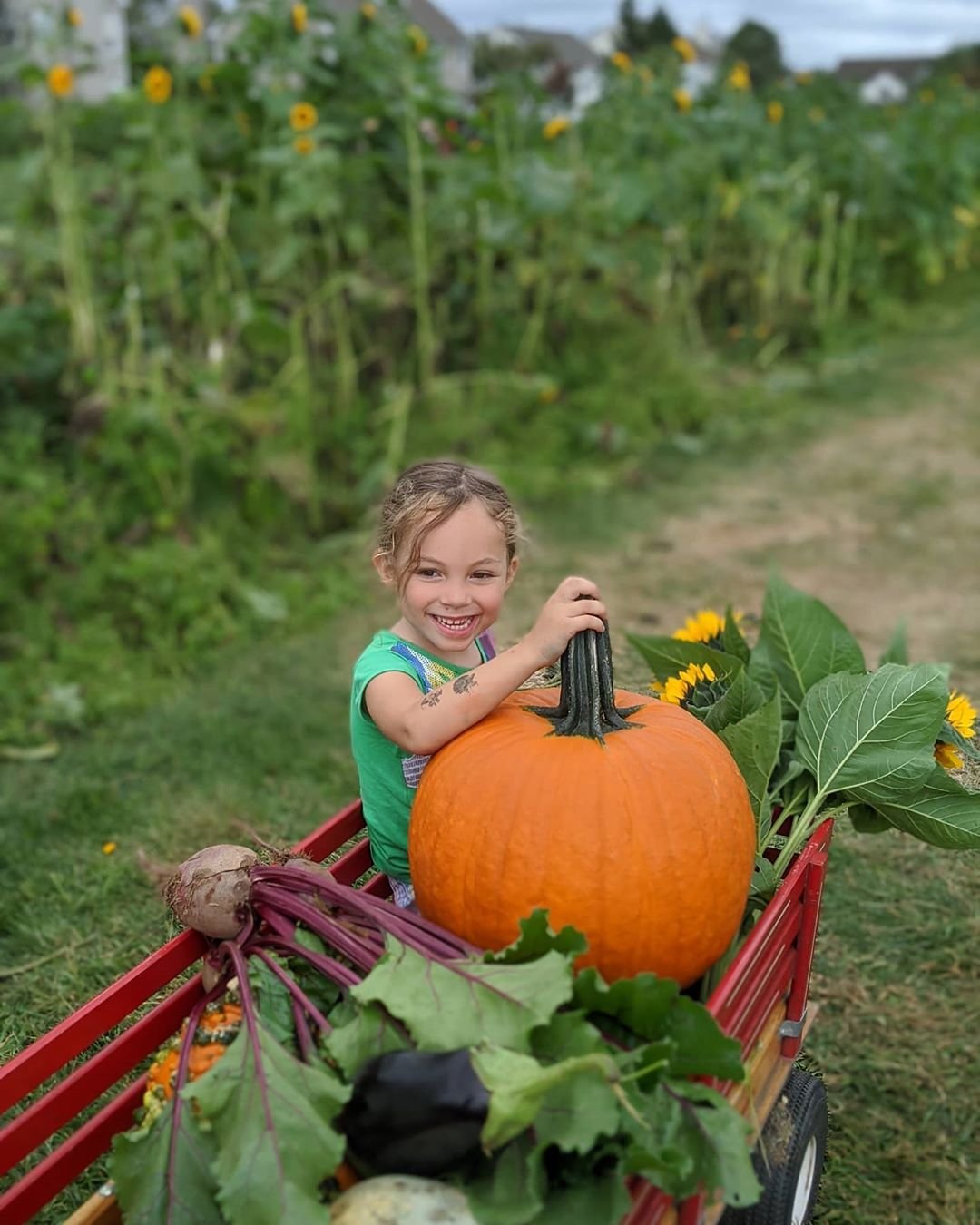 My pumpkin all year round.