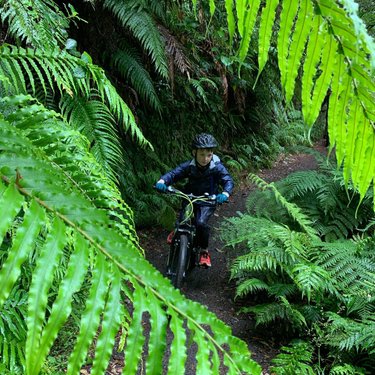 A child rides a mountain bike along a narrow trail surrounded by lush green ferns and dense foliage, creating a vibrant outdoor scene.