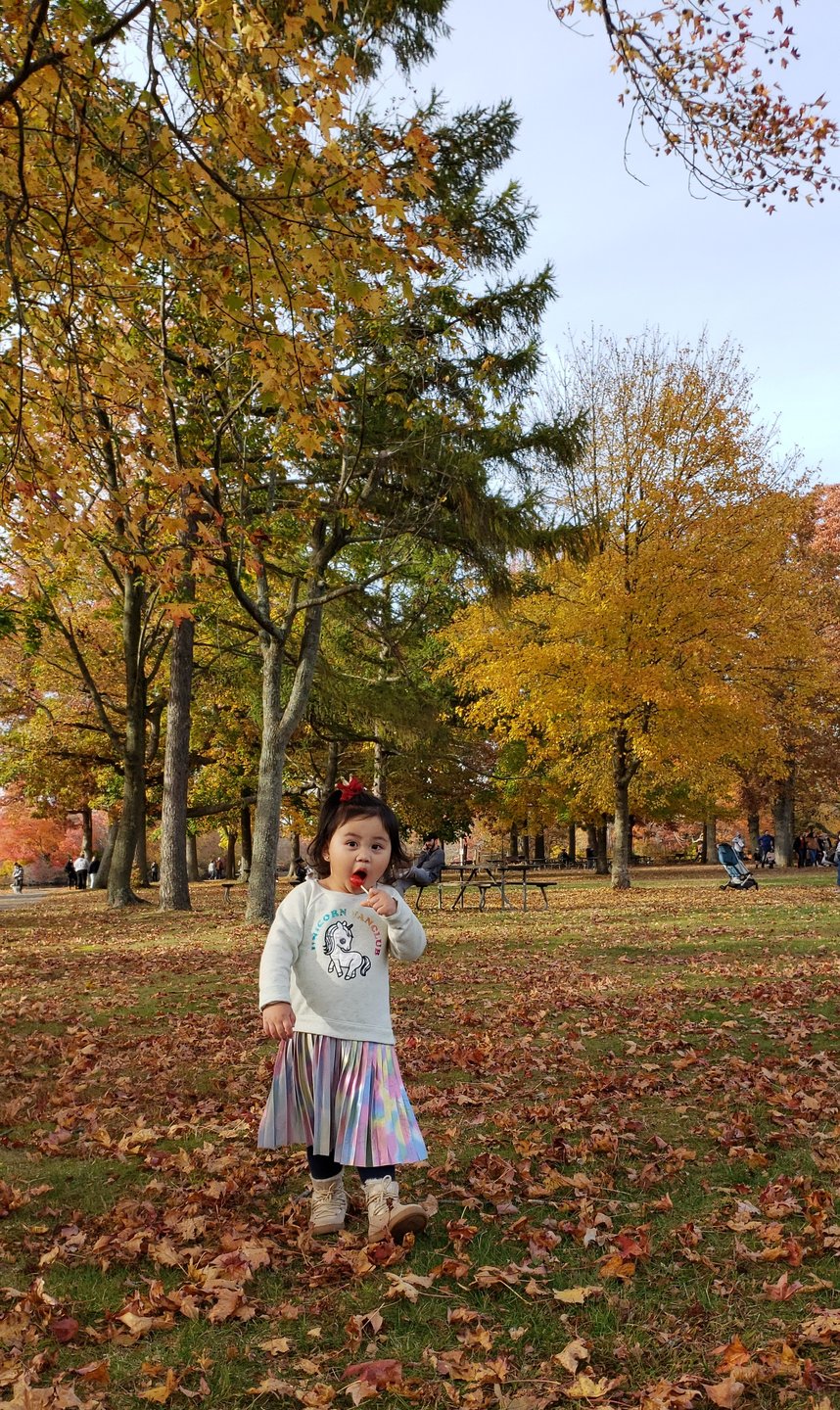 Safiya Marigold Delima 27 months old, enjoying the magic of fall season🍁
